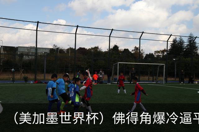 （美加墨世界杯）佛得角爆冷逼平西班牙 比利时埃及握手言和